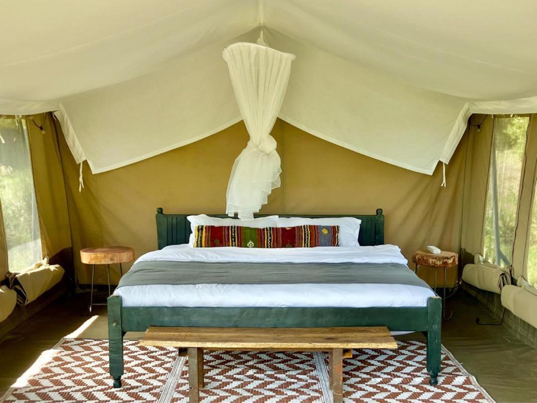 Kambu Mara Camp Hotell Sekenani Rom bilde