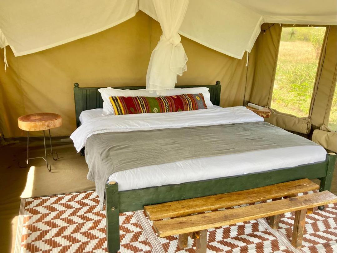 Kambu Mara Camp Hotell Sekenani Rom bilde